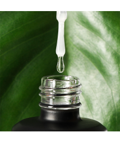 CLEAR │ Base Coat With Plant Protein