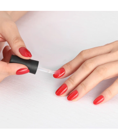 No Wipe Top Coat