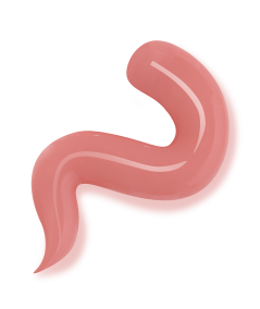 PINK | Gum gel