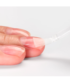 ACID FREE PRIMER